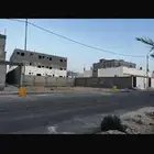 اليارس تيماء