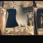 حمام ذكر تركي توب موضح بصوره الموقع البلد