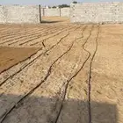 للايجار حوش مساحة 3000 متر مع سكن للشركات