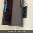 تلفزيون