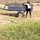 حنطور خيل للعلف