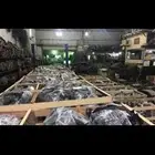 مكاين مستورد شد بلدها