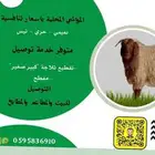 ذبايح بري