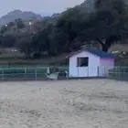 مربط دوس للخيل   تأجير وا ايواء وتشبيه