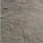 بطحاء بيشه صندوق 24 وا 27