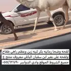 لقحه وضحا ثنيه على باتلي 055462179