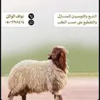 ذبيحتك لباب بيتك