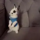 أرنب قزوم مكحل