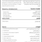 سي في احترافي