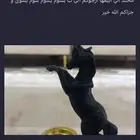 مبخره تراثيه