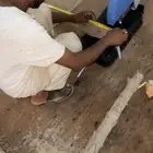 مجثم انتاج خصوبه
