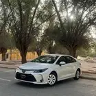 كورولا 2024 ستاندر