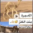 الابل