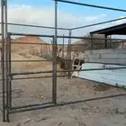 بايكة جديده