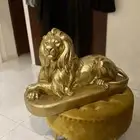 اسد