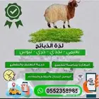 وليد لذبائح حايل