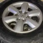 جنوط فورشنر وكاله