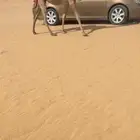 بكره شعلا