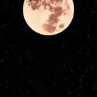مطلوب شقه الايجار