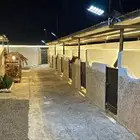 ايواء خيل غرف نشاره