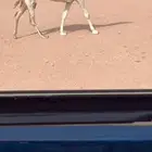 للبيع ضريبه كفوو