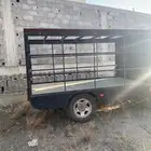 قلص
