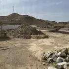 دفنيات للبيع