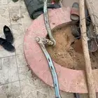 مقص دفرنس فورد