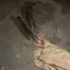 و   ب   ر   ا   ن