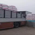 خبز ناشف للحلال