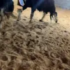 عرض بيع طلي مشروط