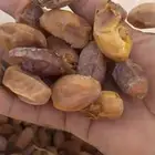تمر نفيع للحلال