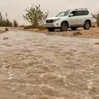برادو 2014 TXL ممشاه 150