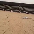 بيت شعر