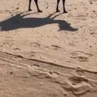 خلفه مجهم أسن سدس تحتهاقعود سمين احمر شرق الرياض برمه