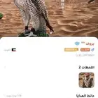حساب ويبلاي