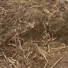 الي يحتاج سماد زبل لارض