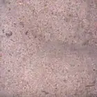 بطحا خشنه من فيضة المسلح الى مهد الذهب
