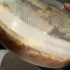 شمع عسل الطلح من المدينه وعسل الخلطه للرجال