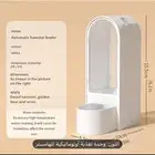ماكلية هامستر