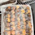 بواجي صيد مصر