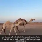 عشرا شقحى كفو