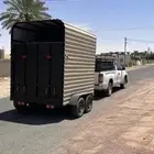 عربه خيل راسين توصيل خيول جميع المنطق