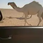 بكره رماني سنه حقه