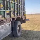 بوز لوري للبيع