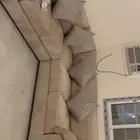 كنب