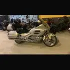 هوندا قولد وينق