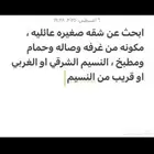 يمني   ابحث عن شقه صغيره