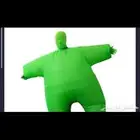 الدب الأخضر