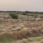 ارض للبيع مزرعة